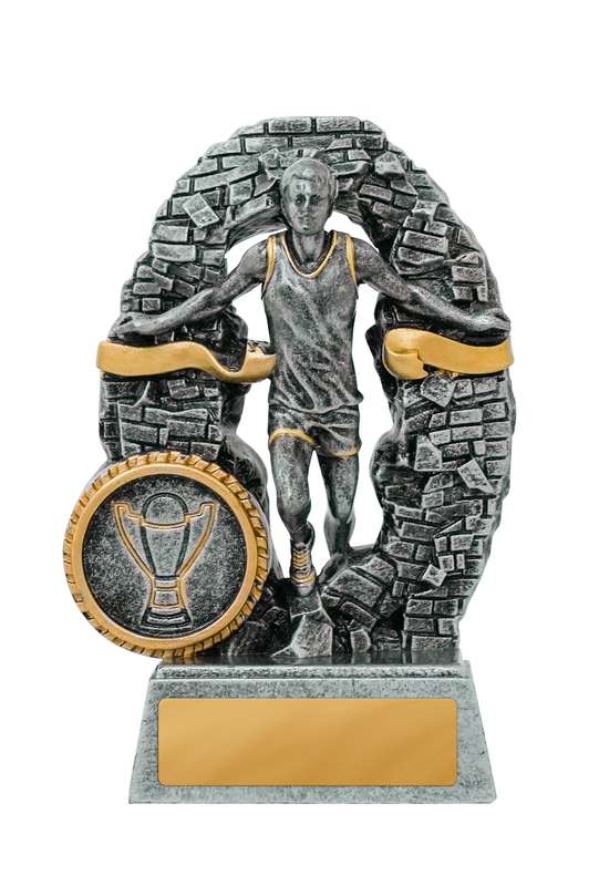 Breaking Down Barriers-Athletics Male