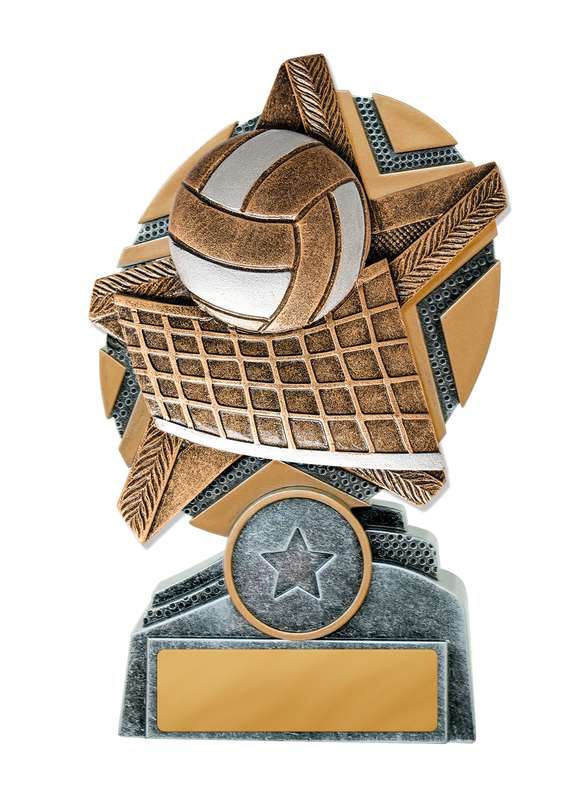 Starburst Stand Volleyball