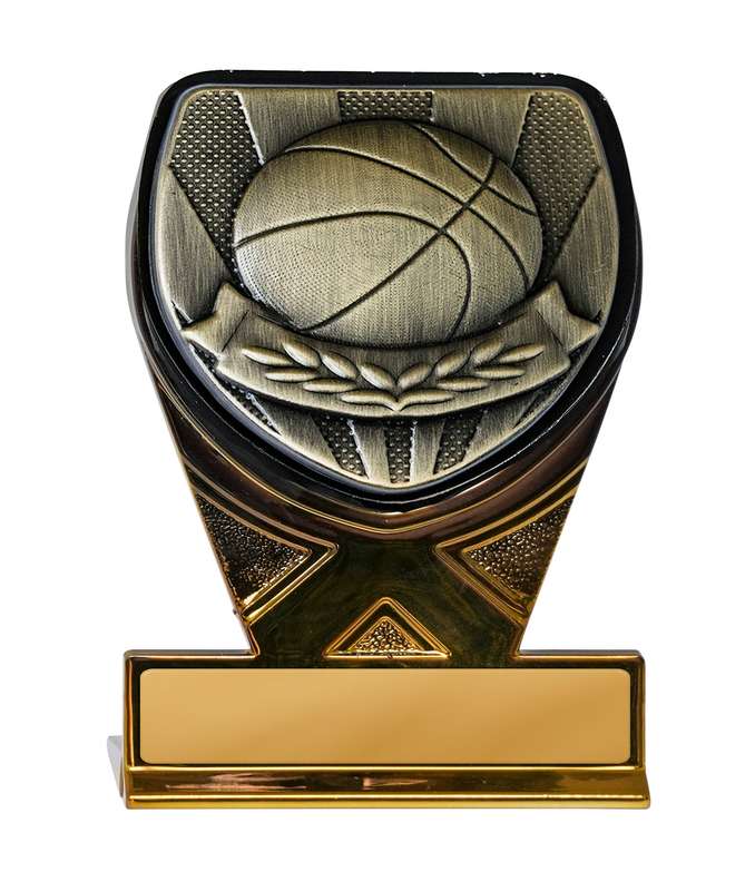 Fusion Cobra Basketball