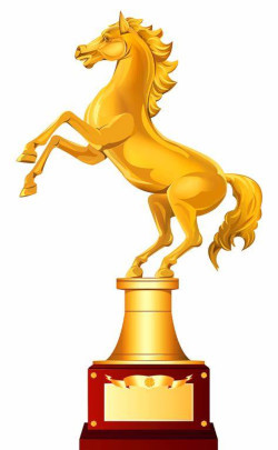 Awards & Trophies