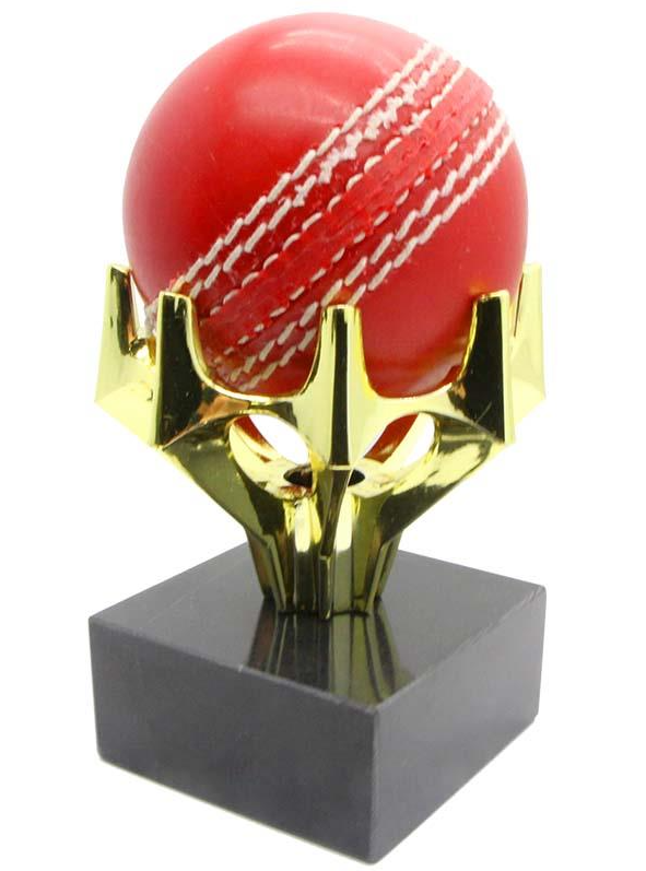 Cricket ball holder & base