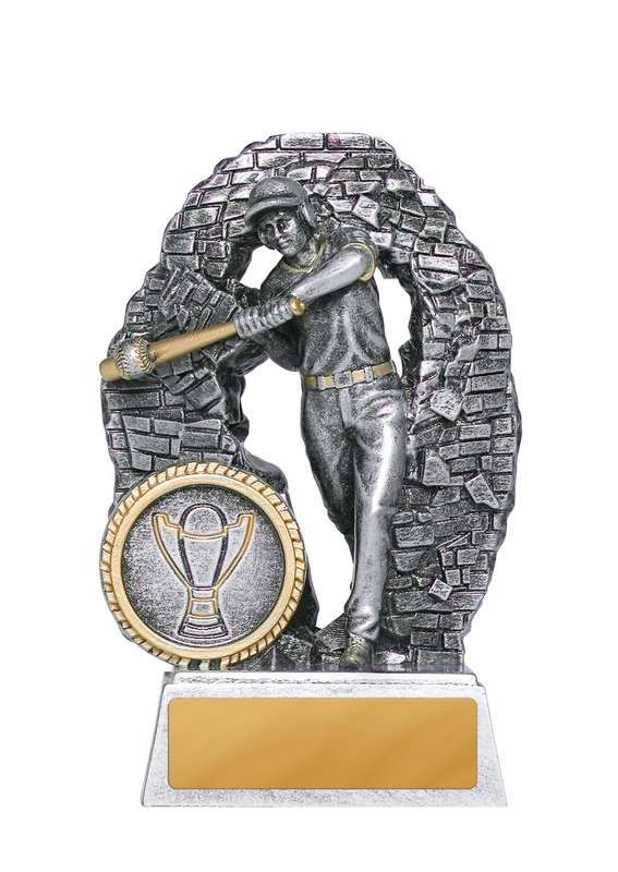 Breaking Down Barriers-Baseball Male