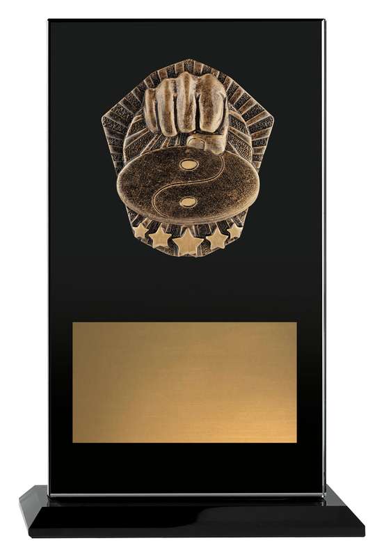 Cosmos Glass - Martial Arts