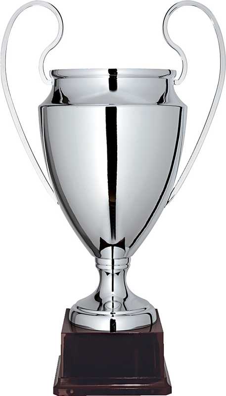 Silver Finish Classic European Cup Trophy