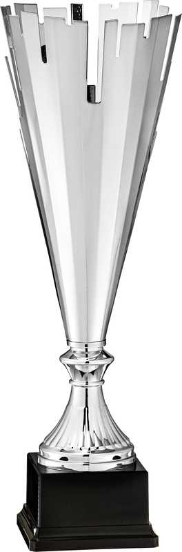 Silver Finish Trophy