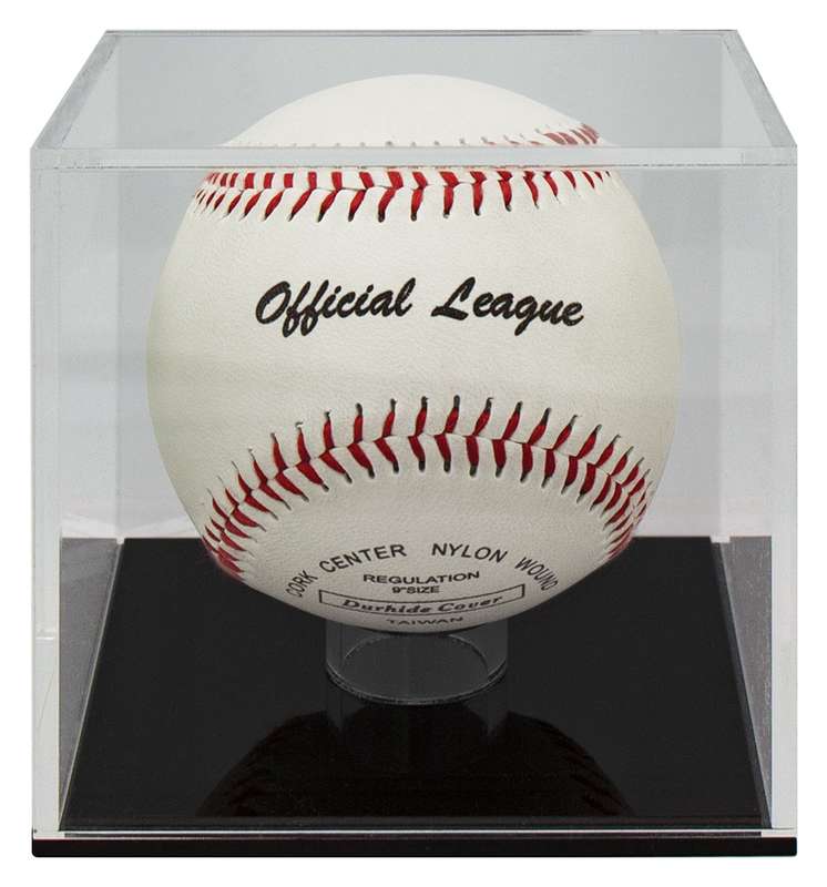 Baseball Ball Case