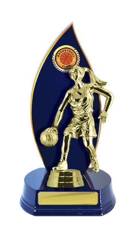 Timber Buildup Basketball