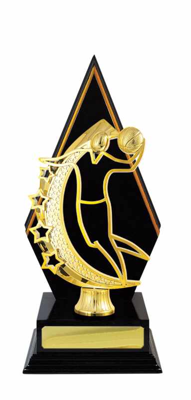 Timber Buildup Basketball