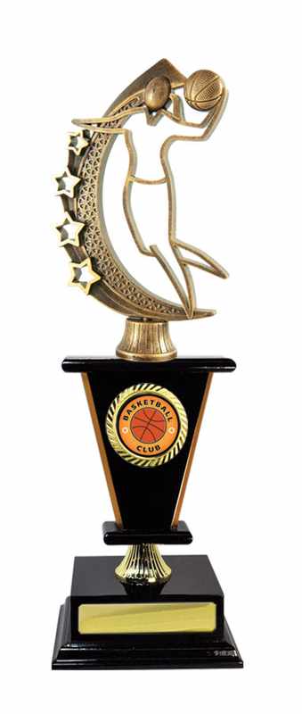 Timber Buildup Basketball