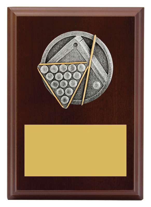 Peak Plaque Pool / Snooker