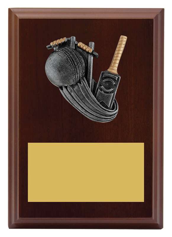 Peak Plaque Cricket