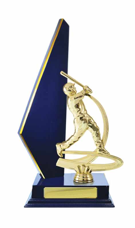 Timber Buildup Baseball